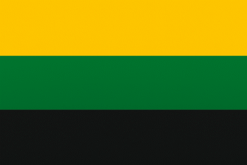 Flaga z trzema poziomymi pasami o równej wielkości. Górny pas jest żółty, środkowy pas jest zielony, a dolny pas jest czarny.